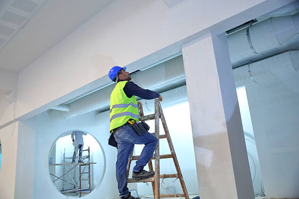 Best Water-Damaged Drywall Repair  in Dexter, MI